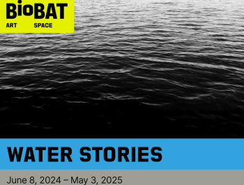 Water Stories banner